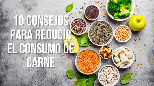 10 Consejos para reducir el consumo de carne