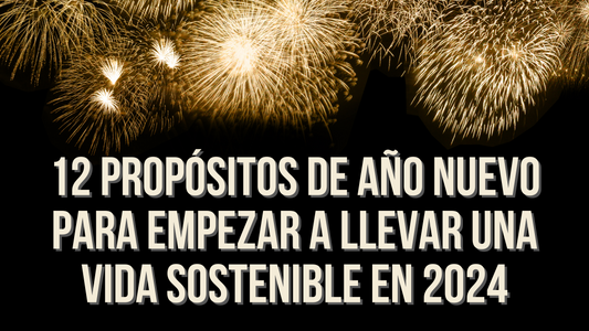 12 propósitos de año nuevo para empezar a llevar una vida sostenible en 2024