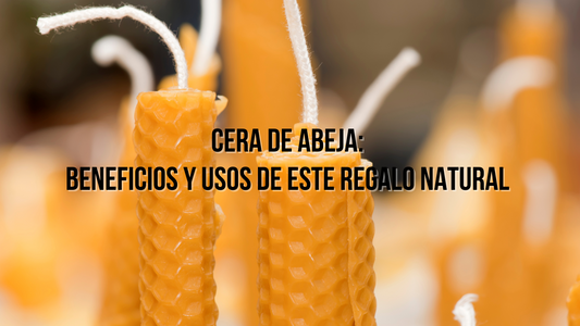 Cera de abeja: beneficios y usos de este regalo natural