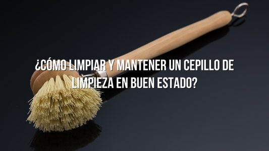 Limpiar y Mantener un Cepillo de Limpieza en Buen Estado