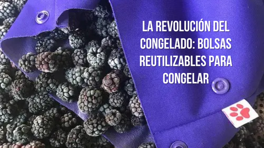 La Revolución del Congelado: Bolsas Reutilizables para Congelar