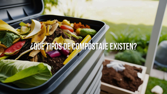 ¿Qué tipos de compostaje existen?