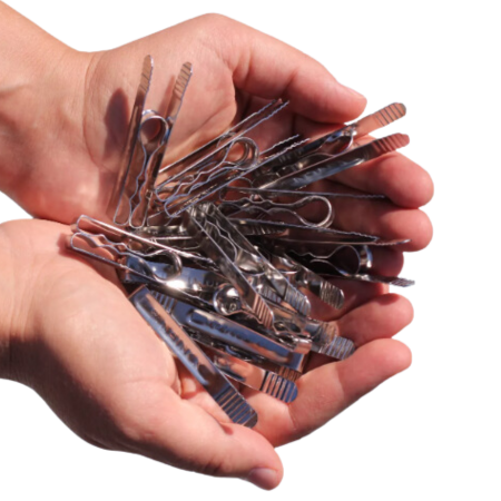 Pinzas para la Ropa de Acero Inoxidable | Pack de 5