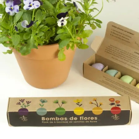 Bombas de Semillas de Flores Silvestres Resetea