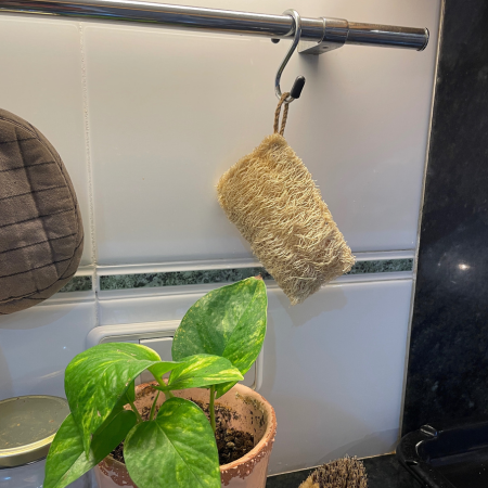 Estropajo Vegetal de Luffa