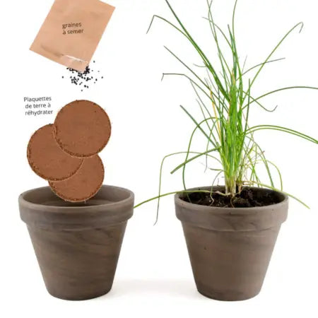 Kit de Siembra: Maceta Terracota con Cebollino Ecológico Radis Et Capucine