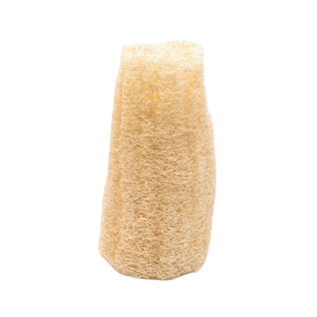 luffa corporal