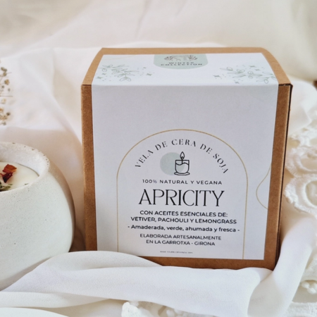 Vela navideña de cera de soja - Vetiver, Pachouli & Lemongrass