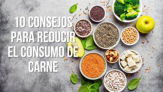 10 Consejos para reducir el consumo de carne