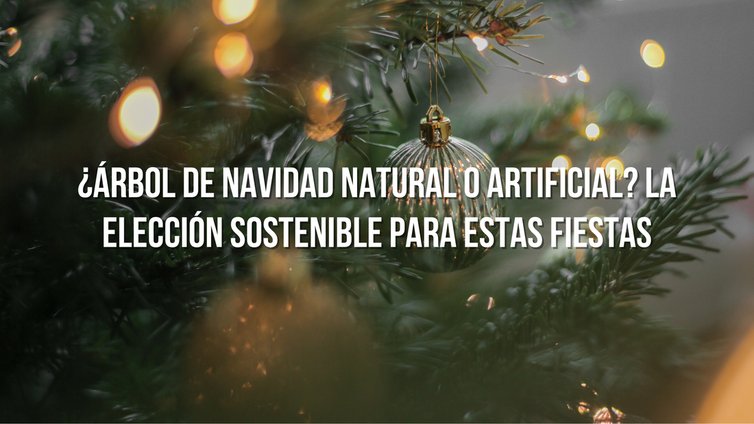 ¿Árbol de Navidad Natural o Artificial? La Elección Sostenible para estas Fiestas