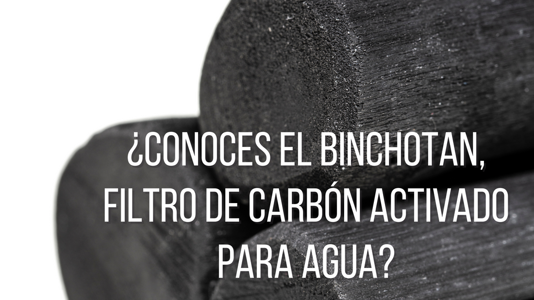 ¿Conoces el Binchotan, Filtro de Carbón Activado para Agua?