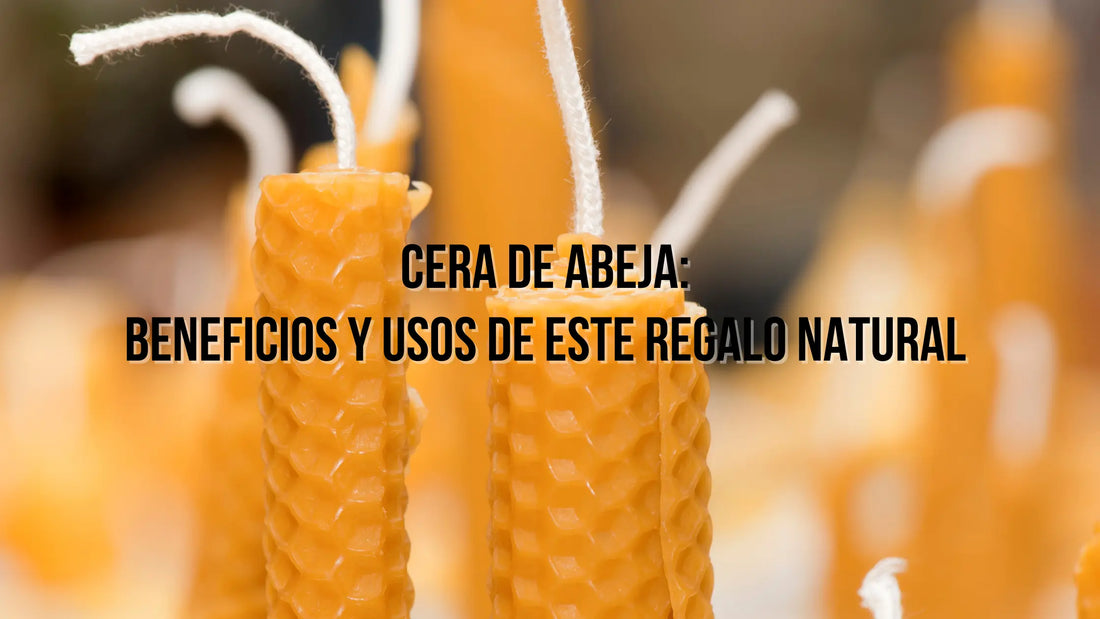 Cera de abeja: beneficios y usos de este regalo natural