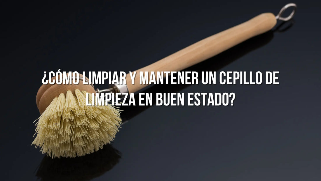 Limpiar y Mantener un Cepillo de Limpieza en Buen Estado
