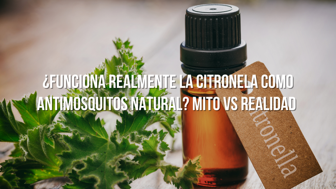 Funciona la Citronela Como Antimosquitos
