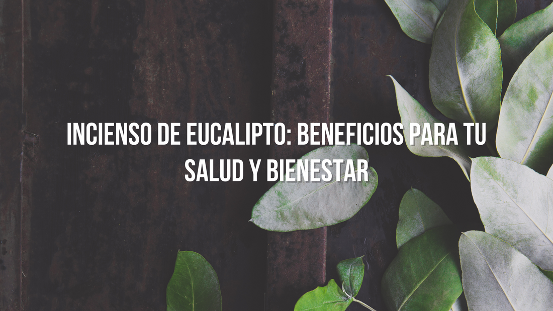 Incienso de eucalipto: Beneficios para tu salud y bienestar