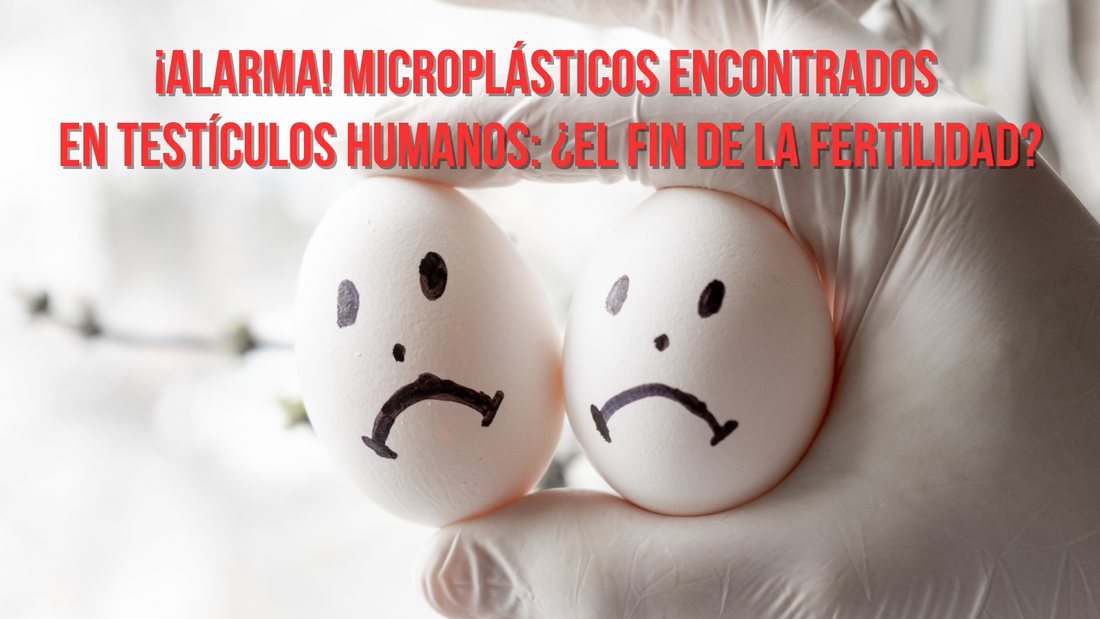 ¡Alarma! Microplásticos Encontrados en Testículos Humanos y Caninos: ¿El Fin de la Fertilidad?