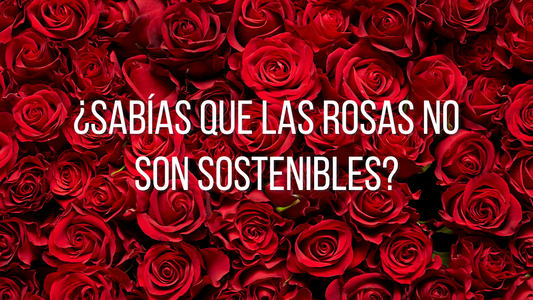 ¿Sabías que las Rosas no son Sostenibles?