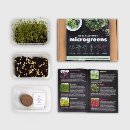 Kit de Autocultivo de Microgreens