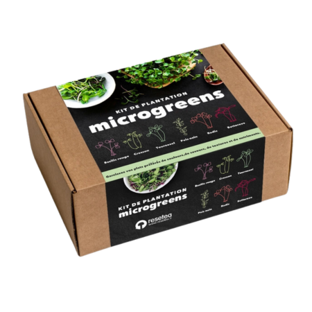 Kit de Autocultivo de Microgreens