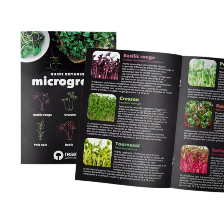 Kit de Autocultivo de Microgreens